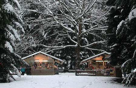 mercatino Natale Parco delle Terme di Levico