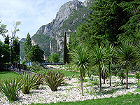 Parco Area Ex-Cattoi - Riva del Garda