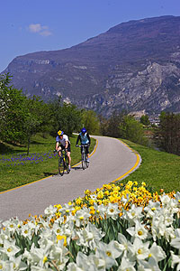 Pista ciclabile Valle dell'Adige